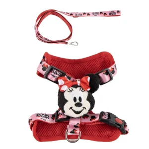SET ARNES Y CORREA MINNIE