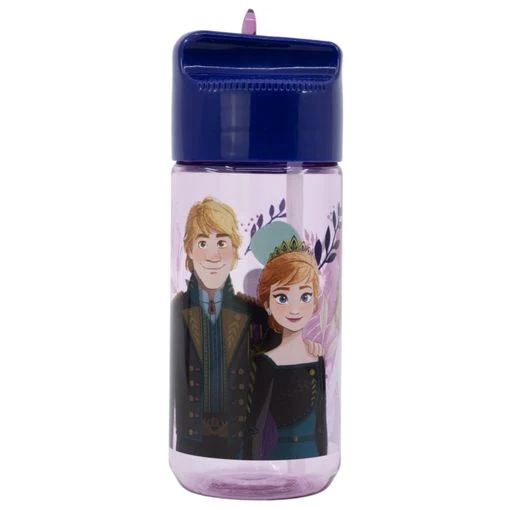 BOTELLA ECOZEN HIDRO 430 ML FROZEN - Imagen 3