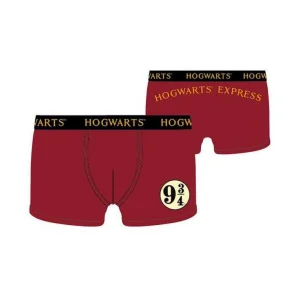 PACK 6 BOXER TALLA L HARRY POTTER