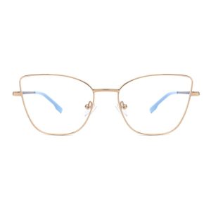 Bulk Wholesale Metal Eyewear – HT004