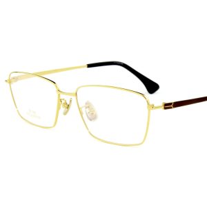 Buy Wholesale 18K Gold Eyewear in Bulk – 8215