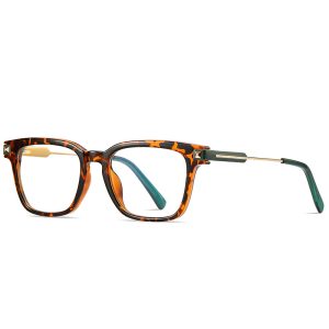 Wholesale Fashion TR90 Eyewear – 2068