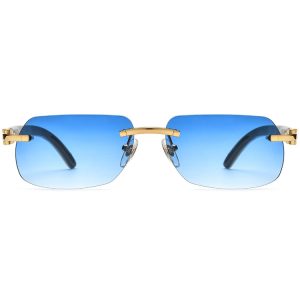 Wholesale Highend Buffalo Horn Sunglasses – 8300816